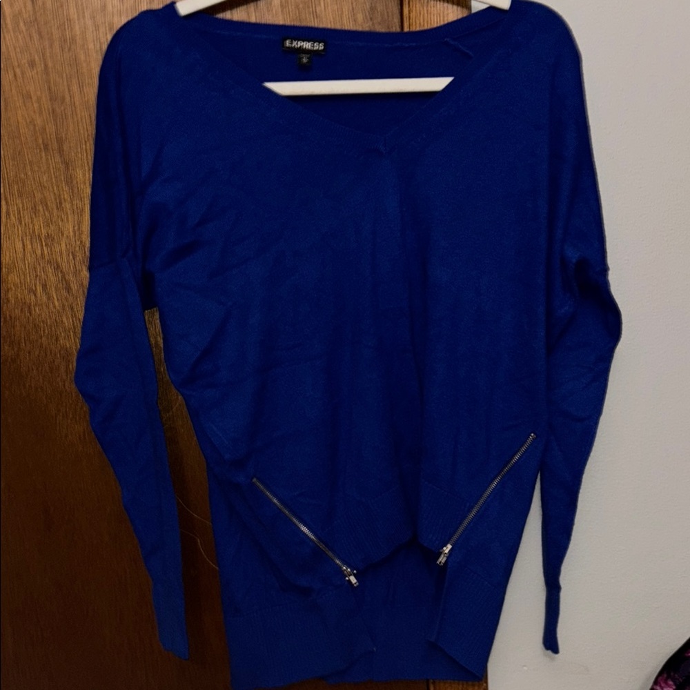 Express Blue V-Neck Sweater
